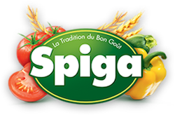 логотип Spiga